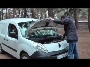 Что лучше бензин или дизель Renault Kangoo