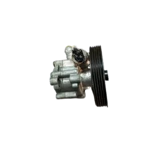 насос гидроусилителя руля/ насос ГУР 491100246R, 7613955610 для Nissan Interstar