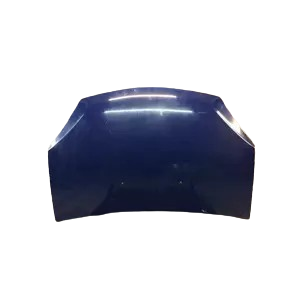 капот 6001551793 для Dacia Sandero