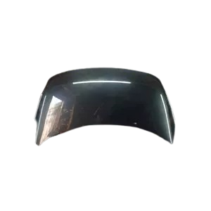 капот 651000036R, 651008842R для Renault Scenic III